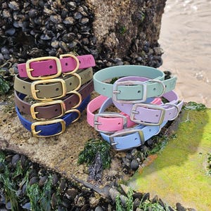 Everlast Range - Waterproof BioThane® Dog Collar