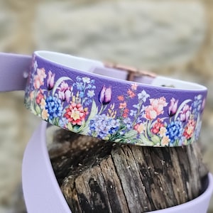 Könnte beinhalten: Ein lila Hundehalsband mit einem Blumendesign mit Tulpen, Hortensien und anderen Blumen in Rosa, Blau und Gelb. Das Halsband besteht aus strapazierfähigem Material und hat eine passende lila Leine.