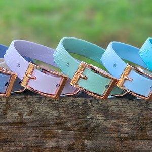 Collar para perros impermeable BioThane® I Personalizable. Elijo entre 38 colores diferentes