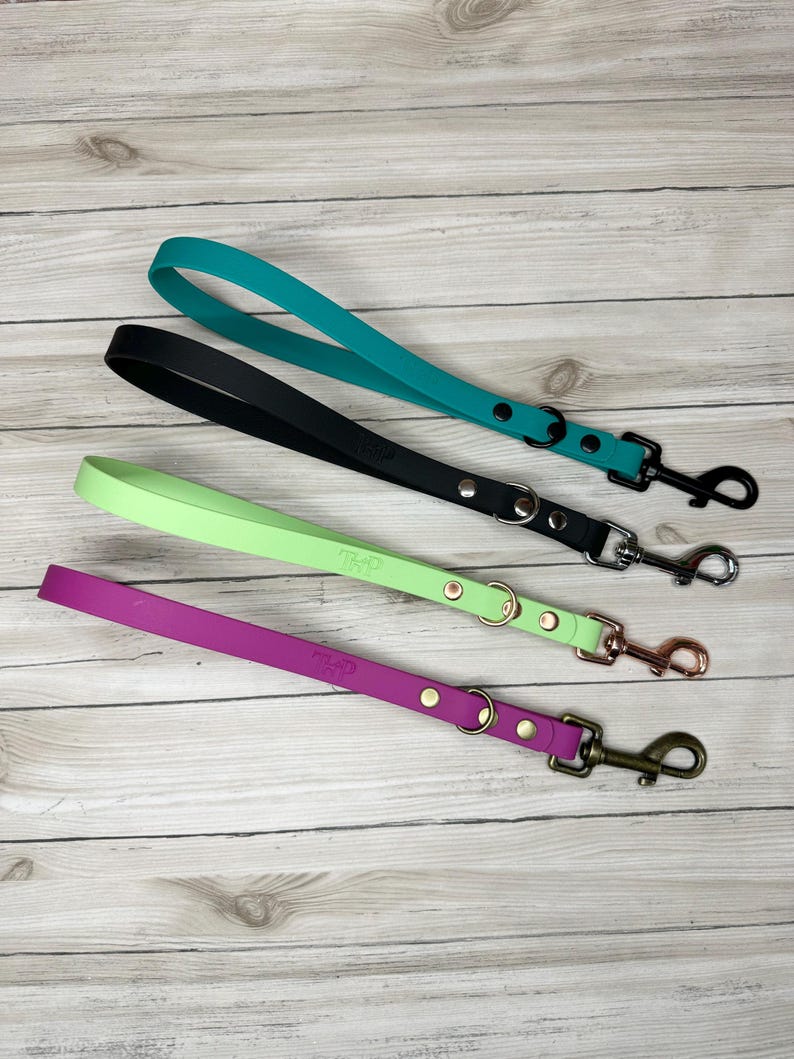 May include: Four dog leashes in teal, black, lime green, and magenta. Each leash features a loop handle, a metal D-ring, and a metal swivel snap hook. The leashes are secured with metal rivets and have the letters TnP embossed on the strap surface.