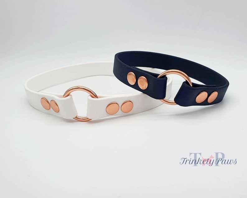 Biothane® Waterproof Dog Tag Collar I Design Your Own Etsy UK
