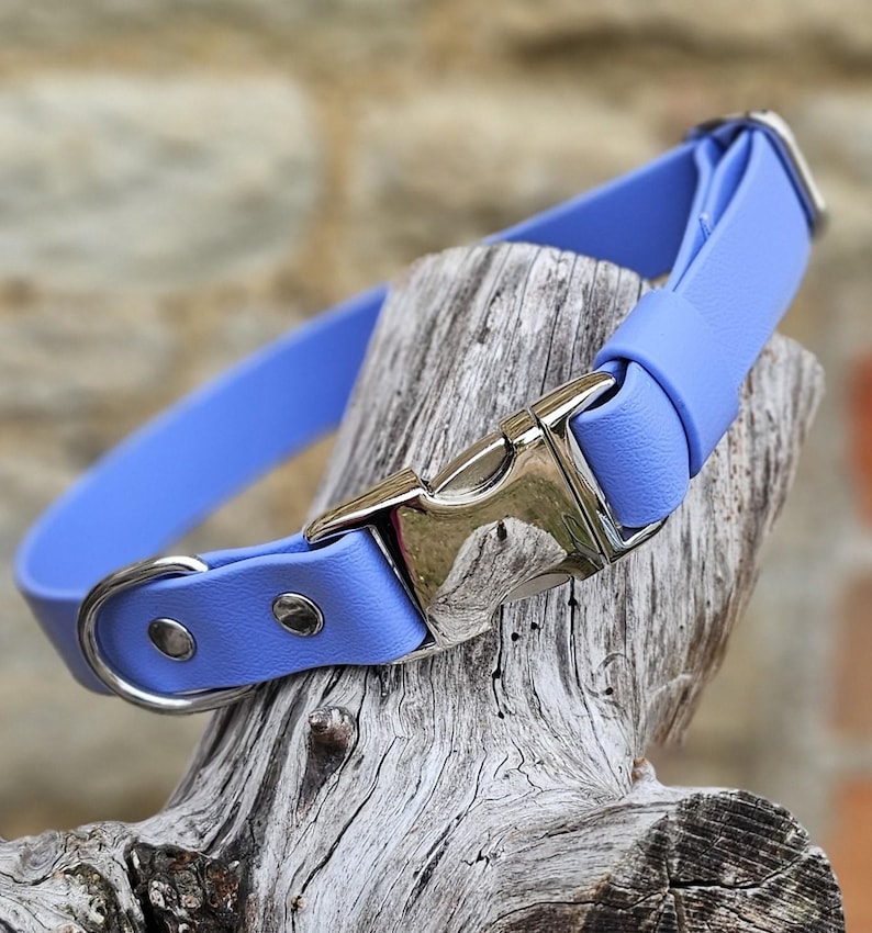 K&ouml;nnte beinhalten: Ein lavendelblaues Halsband mit einem glatten, matt texturierten Riemen, einer polierten silberfarbenen Metallschnalle mit seitlichem Verschluss, einem passenden silberfarbenen D-Ring und zwei silberfarbenen Nieten zur Befestigung.