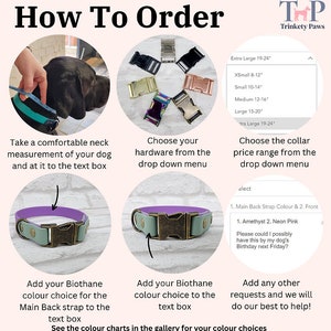 May include: An instructional graphic titled How To Order from Trinkety Paws showing steps to customize a dog collar. It features a dog being measured, a selection of colored buckles, size charts in inches, and examples of Biothane strap color choices.