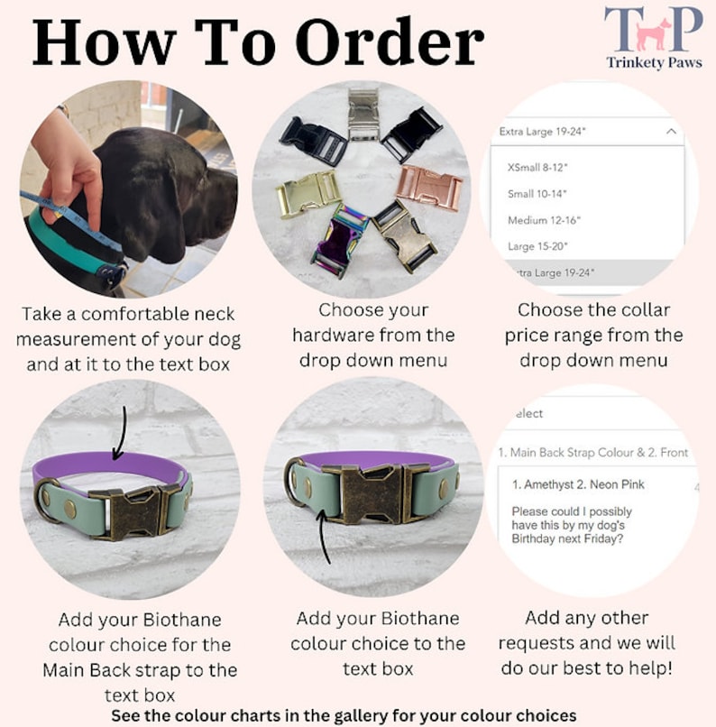 May include: An instructional graphic titled How To Order from Trinkety Paws showing steps to customize a dog collar. It features a dog being measured, a selection of colored buckles, size charts in inches, and examples of Biothane strap color choices.