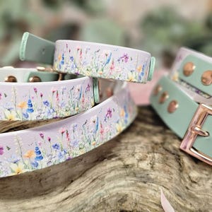 May include: Dog collars in a variety of sizes and styles. One set features a light purple background with a floral pattern, while others are mint green with rose gold buckles. The collars are displayed on a piece of wood.