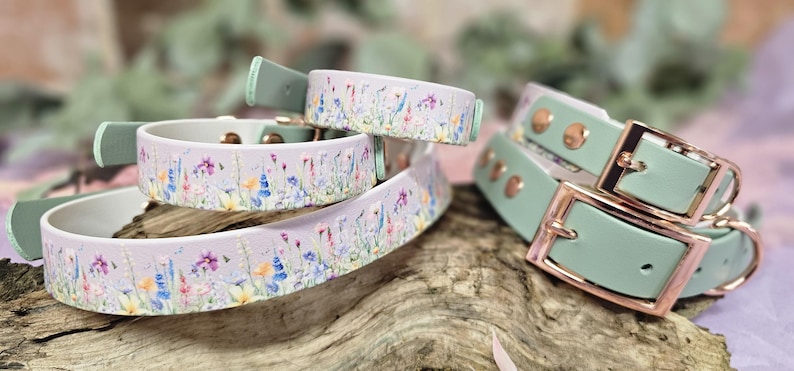 May include: Dog collars in a variety of sizes and styles. One set features a light purple background with a floral pattern, while others are mint green with rose gold buckles. The collars are displayed on a piece of wood.