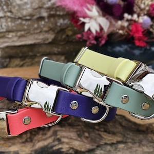 Może przedstawiać: Stos kolorowych obroży dla psów w kolorach różowym, fioletowym, miętowym i żółtym. Każda obroża ma srebrną metalową klamrę i pasującą metalową pętlę do mocowania smyczy. Obroże ułożone są na drewnianej powierzchni.