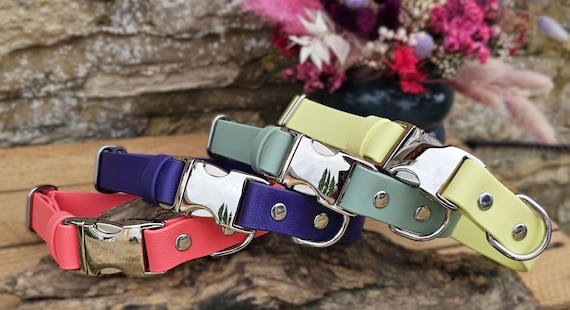 BioThane Waterproof Dog Collar: Quick Release Buckle - various colours available