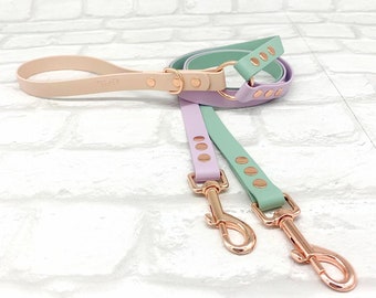 May include: A multi-colored dog leash featuring a beige handle section, a mint green segment, and a lavender portion. The leash includes rose gold metal hardware, including two swivel snap hooks and circular rings, secured with matching rivets.