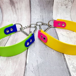 Trinkety Paws two-coloured waterproof Biothane Martingale Dog Collar in Apple Green with Blue and Yellow with Neon Pink with stainless steel Martingale Chains.