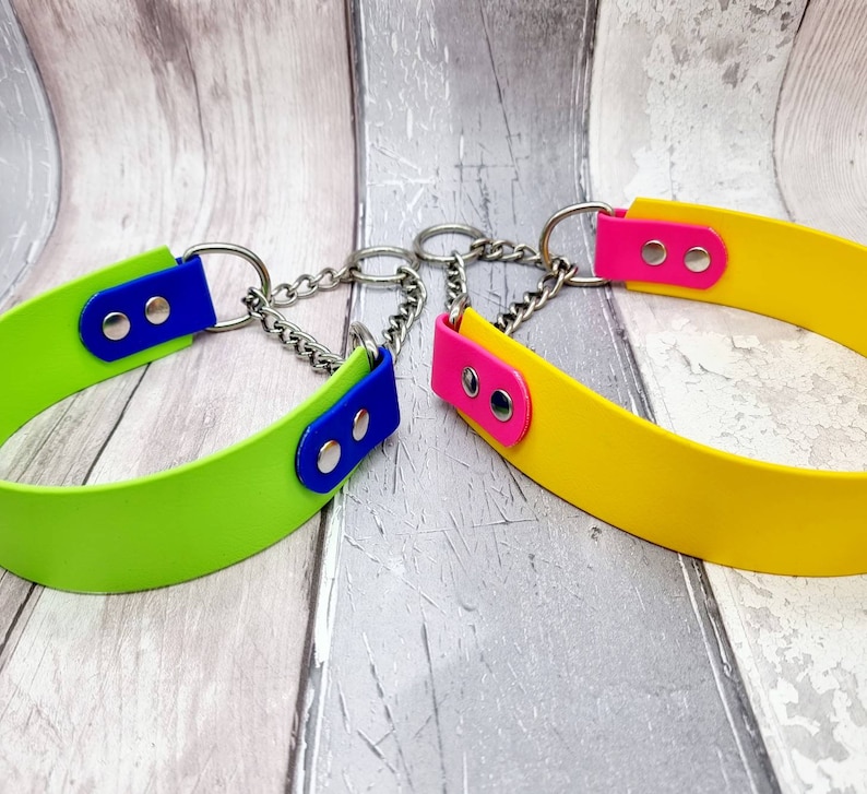 Trinkety Paws two-coloured waterproof Biothane Martingale Dog Collar in Apple Green with Blue and Yellow with Neon Pink with stainless steel Martingale Chains.
