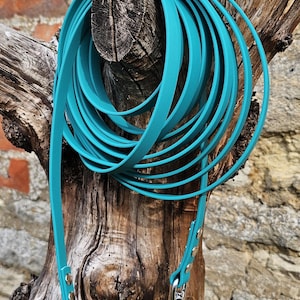 Op de afbeelding: Een lange, talingkleurige riem gemaakt van een glad, plat materiaal. De riem is voorzien van zilverkleurige metalen klinknagels die de lussen vastzetten en een stevige zilverkleurige metalen draaibare musketonhaak aan &eacute;&eacute;n uiteinde.