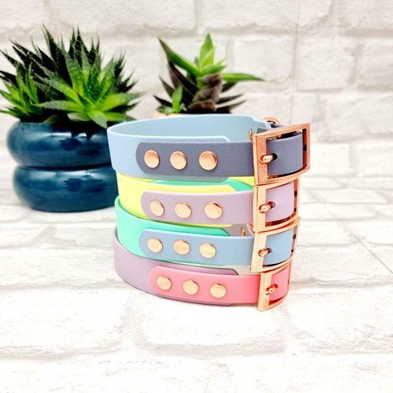 Design your own collar 2025