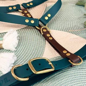 Premium waterproof BioThane® Perfect Fit Dog Harness    I      Made to measure for your Dog   I    Design your own Colour Choices