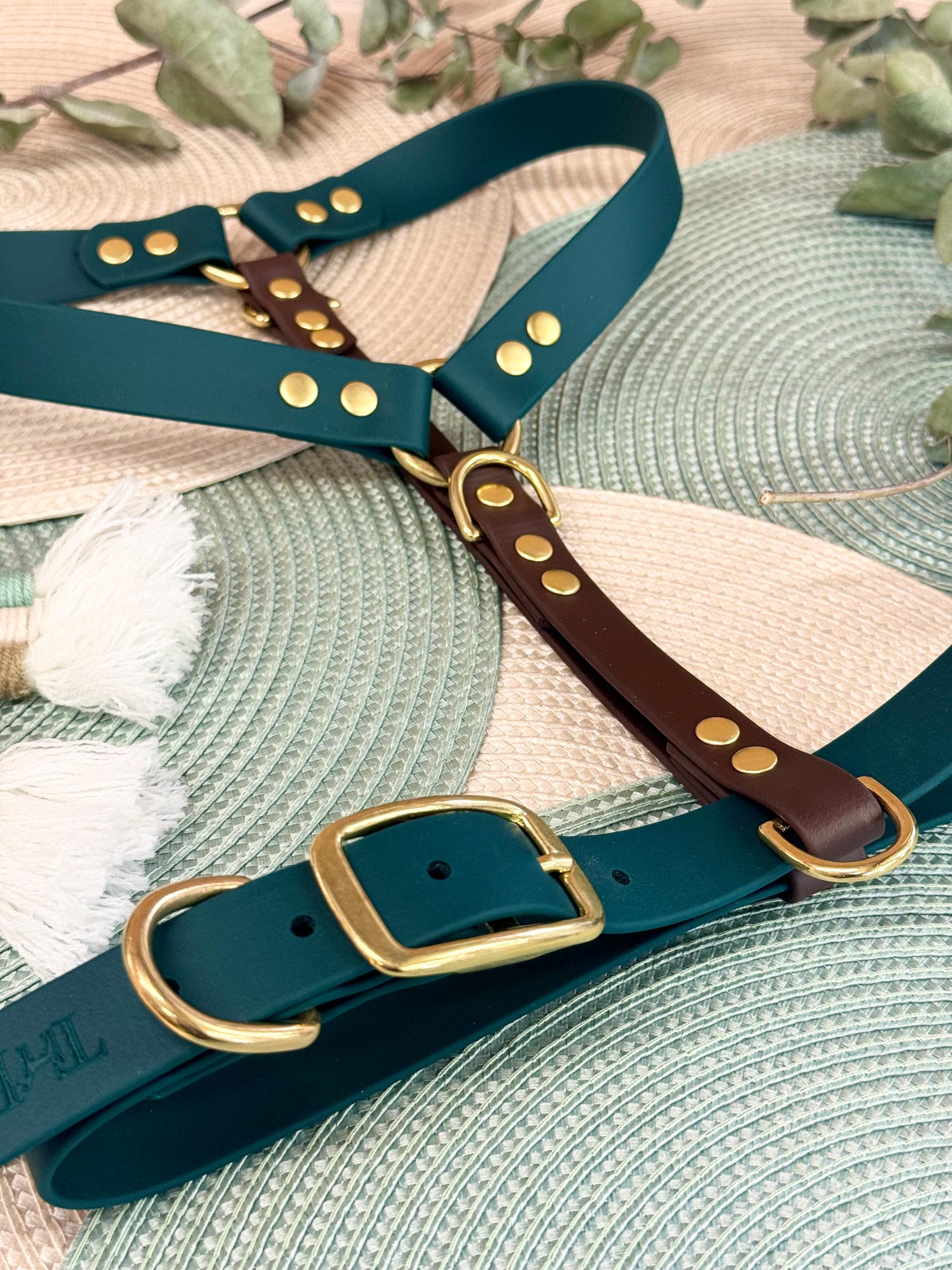 Premium waterproof BioThane® Perfect Fit Dog Harness    I      Made to measure for your Dog   I    Design your own Colour Choices