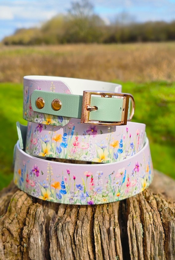 Wildflower Meadow BioThane Dog Collar: Waterproof Sighthound Design