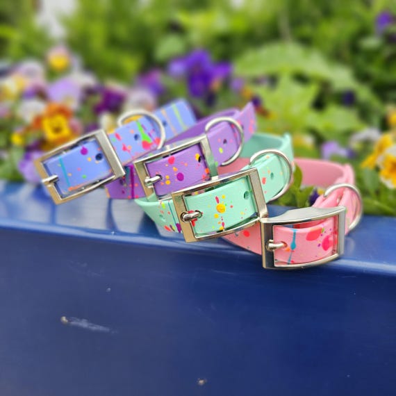 BioThane Collar Splatter Effect Add-on: Wasserdichtes Hundehalsband Design  - Etsy sterreich