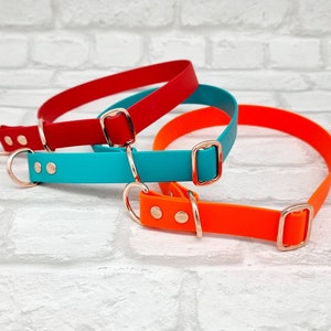 Biothane® waterproof Slip Dog Collar