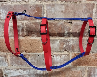 Houdini Harness - Premium waterproof BioThane® Dog Harness    I   Anti-Escape Dog Harness  I   Made to measure   I    Design your own