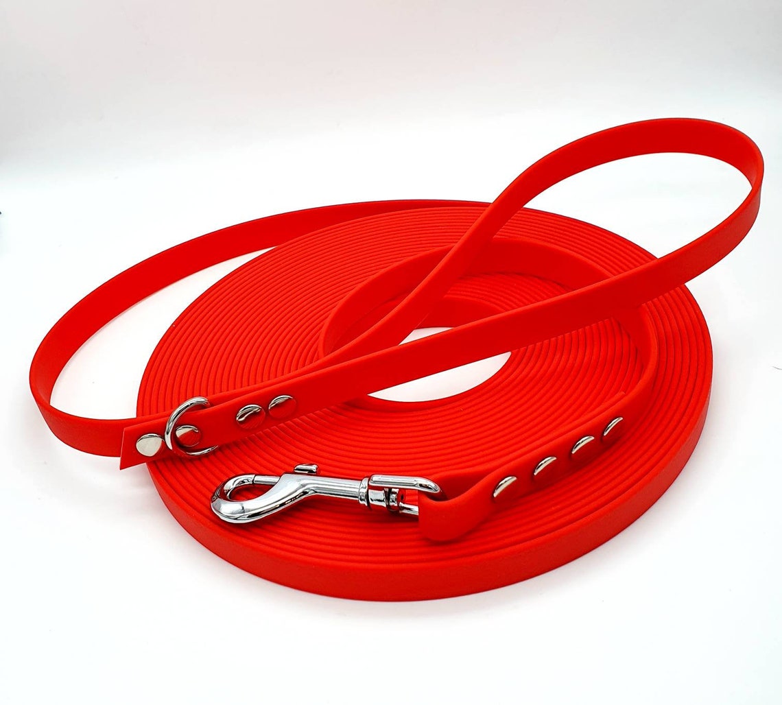 Waterproof bing Dog Long Line Leash with handle I water Etsy