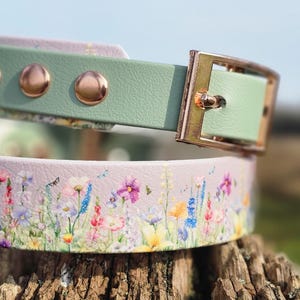 May include: A floral-patterned collar with a light purple base, featuring a meadow of colorful wildflowers. The collar has a mint green strap and buckle, with three copper-colored studs. The buckle is gold-toned.