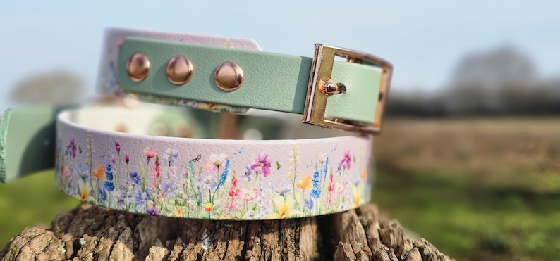 May include: A floral-patterned collar with a light purple base, featuring a meadow of colorful wildflowers. The collar has a mint green strap and buckle, with three copper-colored studs. The buckle is gold-toned.