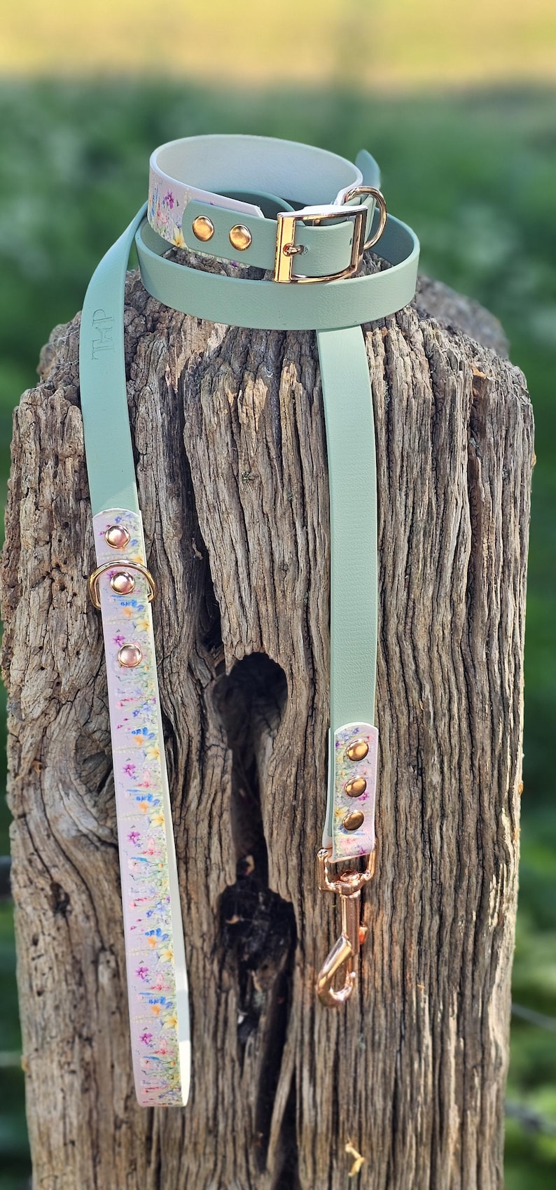 May include: A mint green dog collar and leash set. The collar and leash are made of a smooth material with gold-colored hardware. The leash has a floral patterned section. The collar has a matching floral pattern on the inside.