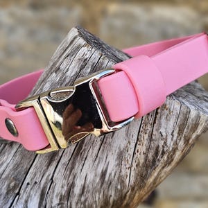 K&ouml;nnte beinhalten: Ein einfarbig hellrosa Halsband mit einer polierten silberfarbenen Metall-Steckschnalle, einem passenden silberfarbenen D-Ring zur Leinenbefestigung und zwei silberfarbenen Nieten, die das Band am Schnallenmechanismus sichern.