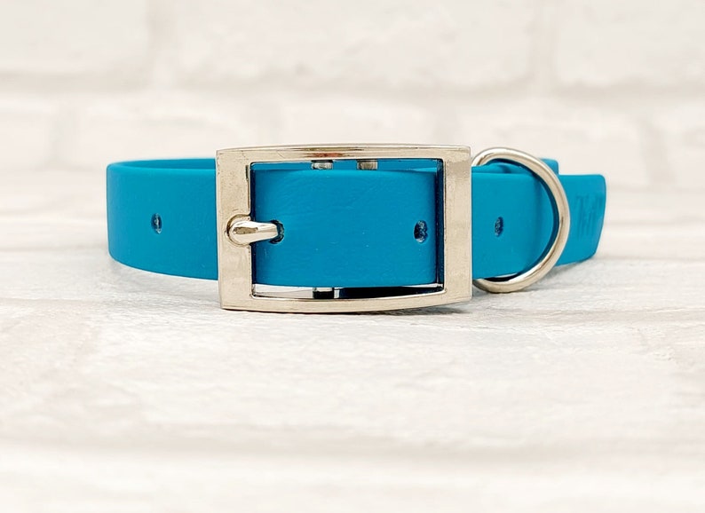 Lagune Blue Waterproof Biothane Dog Collar