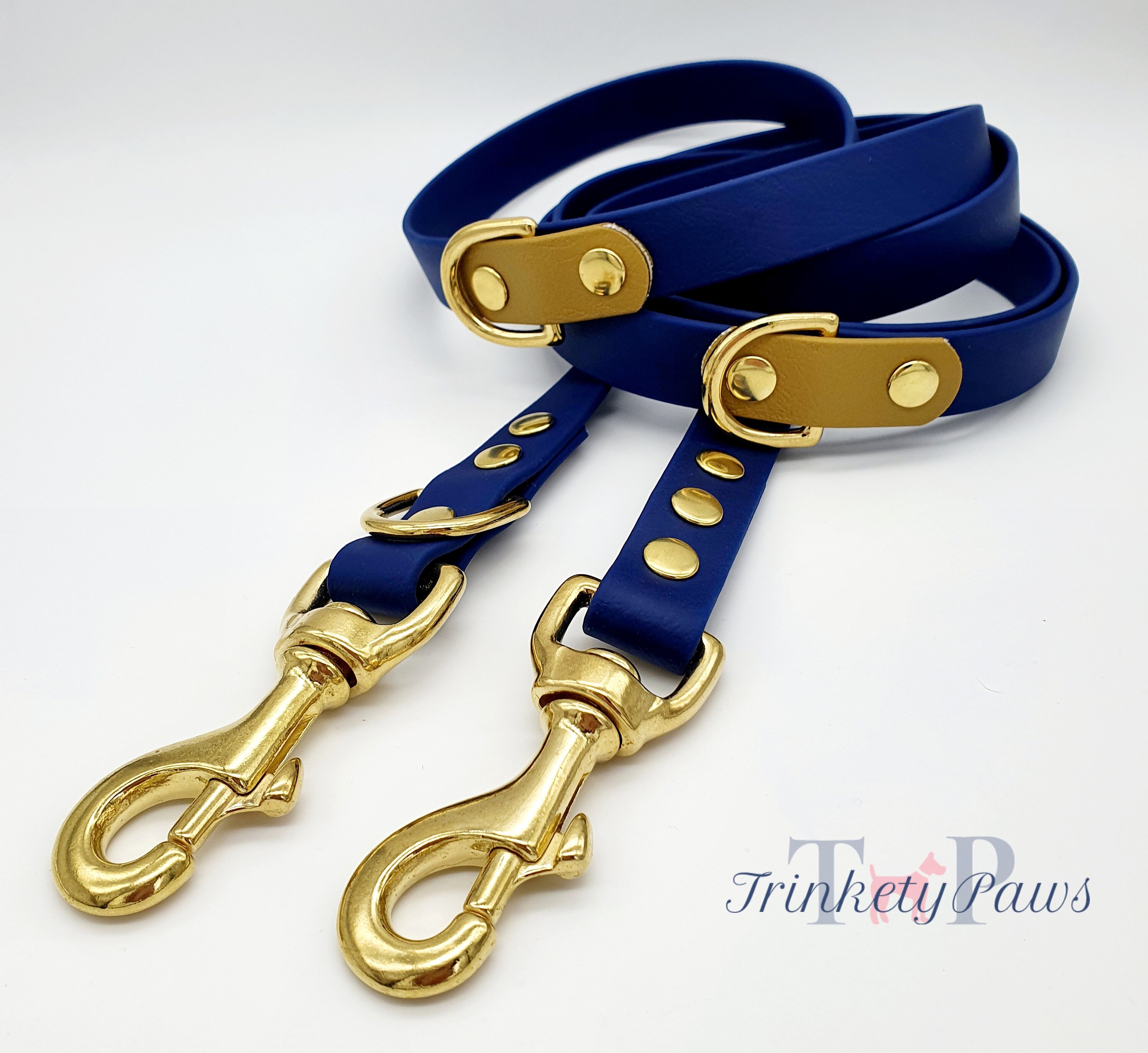 dog training leads uk