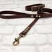 see more listings in the WP Collar & Lead Sets section