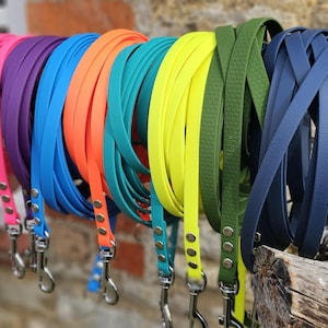 Könnte beinhalten: Eine Auswahl an Hundeleinen in leuchtenden Farben: Pink, Lila, Blau, Orange, Türkis, Gelb, Grün und Marineblau. Jede Leine hat eine glatte Textur mit silberfarbenen Verschlüssen und Nieten.