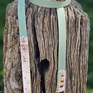 May include: A dog collar and leash set in a pastel floral pattern with gold-colored hardware. The collar and leash are light green with a floral design on the collar and leash ends. The set is displayed on a weathered wooden post.