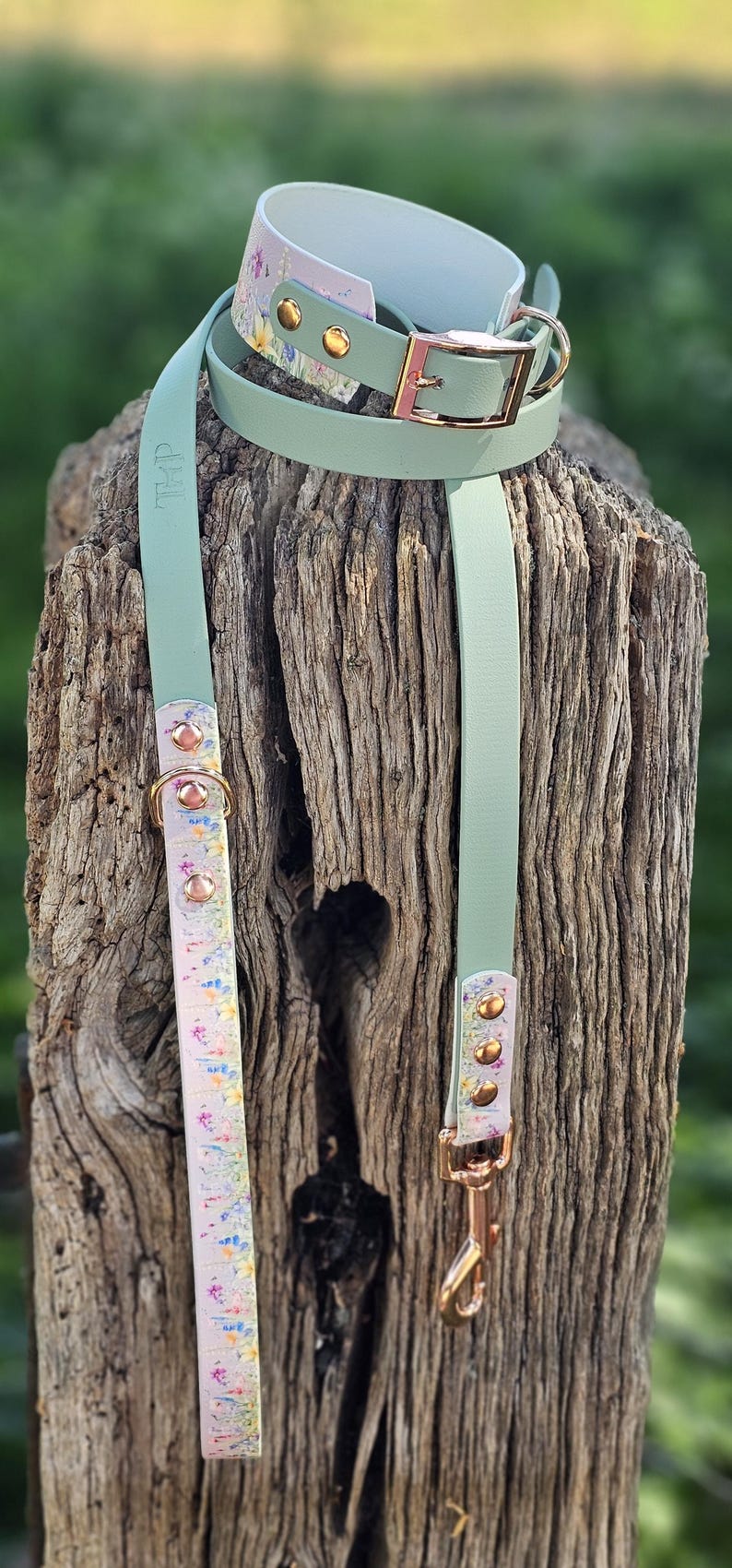 May include: A dog collar and leash set in a pastel floral pattern with gold-colored hardware. The collar and leash are light green with a floral design on the collar and leash ends. The set is displayed on a weathered wooden post.