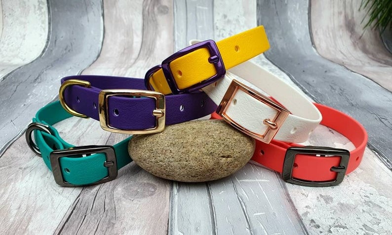 odor resistant dog collars