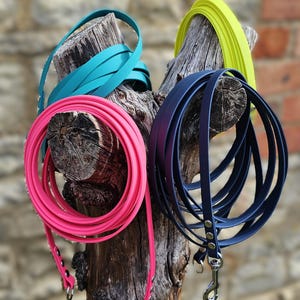 Op de afbeelding: Vier opgerolde hondenriemen in felroze, talingblauw, marineblauw en neongeel. Elke riem is gemaakt van glad, flexibel materiaal en is voorzien van zilverkleurige metalen hardware en een stevige draaibare musketonhaak.