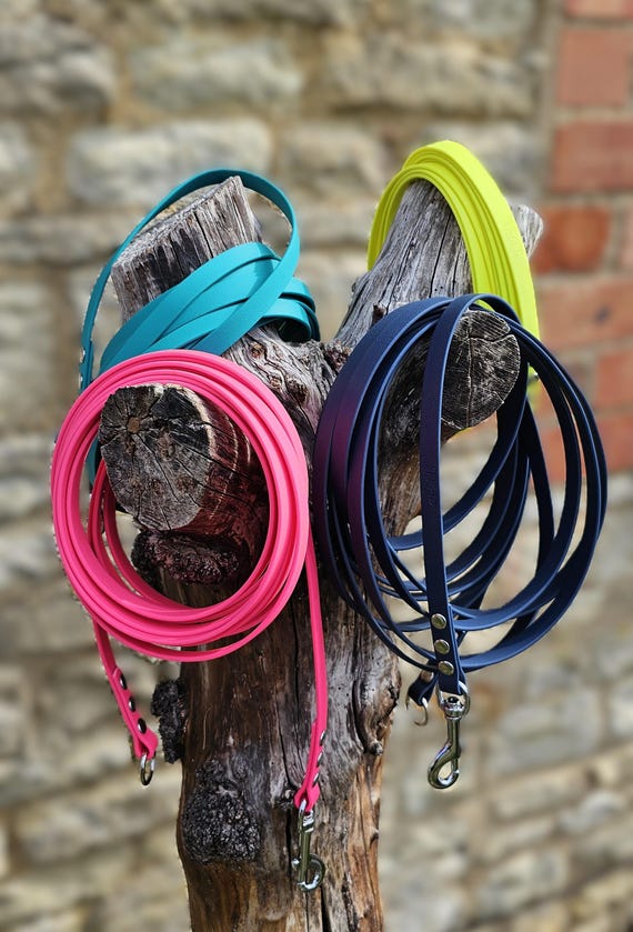 NIMBLE Waterdichte Hondenriem – Lange Trainingslijn 5/10/15/30 M, Geurbestendig, Geschikt Voor Alle Honden, Met 360° Draaibeveiliging