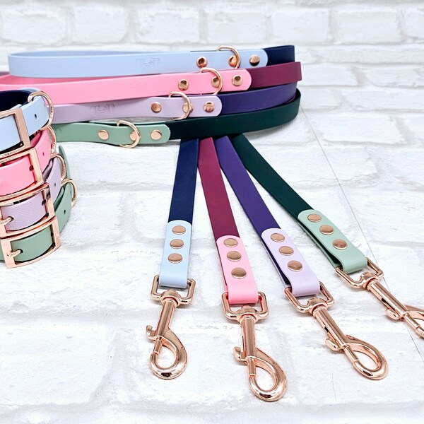 BioThane® waterproof two-coloured Dog Lead®      I  Design Your Own