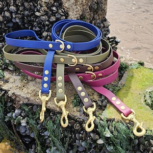 Everlast Range Biothane® Waterproof Dog Lead    I    100% seaside proof