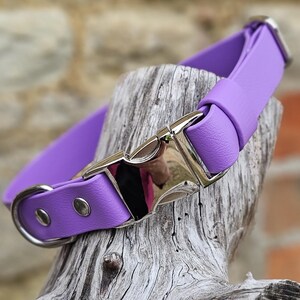 K&ouml;nnte beinhalten: Ein leuchtend violettes Halsband mit einer polierten silberfarbenen Metallschnalle, einem passenden silberfarbenen D-Ring und zwei silberfarbenen Nieten. Das Halsband besteht aus einem glatten, einfarbigen Riemen mit gleichm&auml;&szlig;iger Textur.