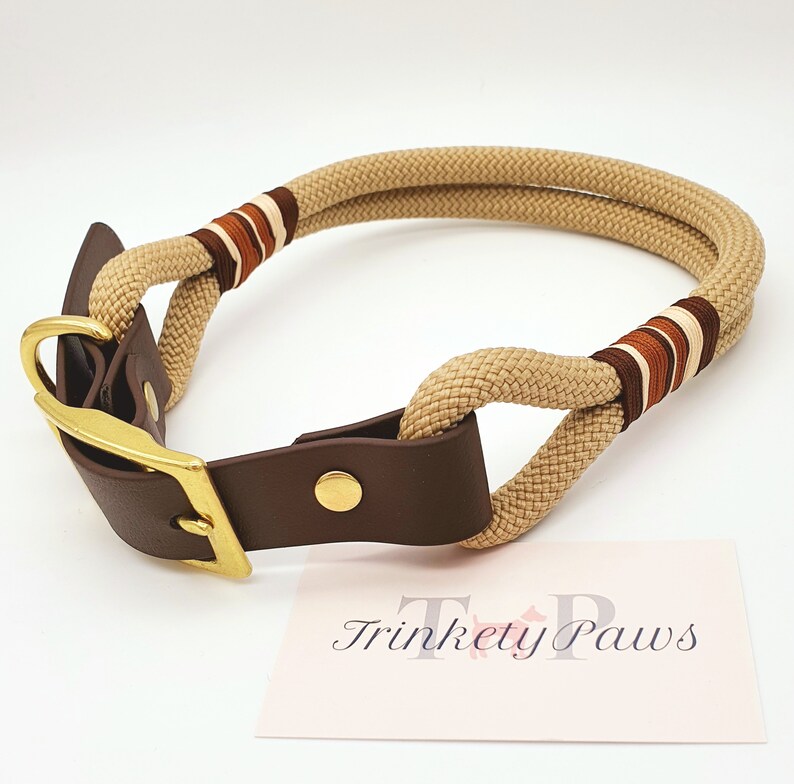 Paracord Biothane® Dog Collar I Design Your Own Etsy