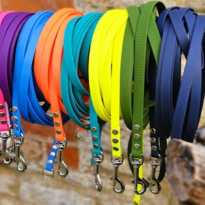 Op de afbeelding: Een collectie veelkleurige hondenriemen in roze, paars, blauw, oranje, turquoise, geel, olijfgroen en marineblauw. Elke riem heeft een gladde, platte band, zilverkleurige metalen hardware en een stevige, draaibare musketonhaak.