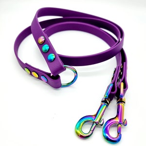 Op de afbeelding: Paarse hondenriem met regenboogkleurige metalen accenten en twee clips.