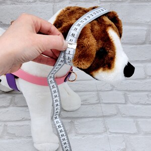 Pu&ograve; includere: Un cane di peluche con pelo marrone e bianco che indossa una pettorina rosa e viola. Un metro a nastro bianco &egrave; avvolto attorno alla testa del cane, mostrando le misure in centimetri. Il testo Head measurement guide &egrave; visibile in alto.