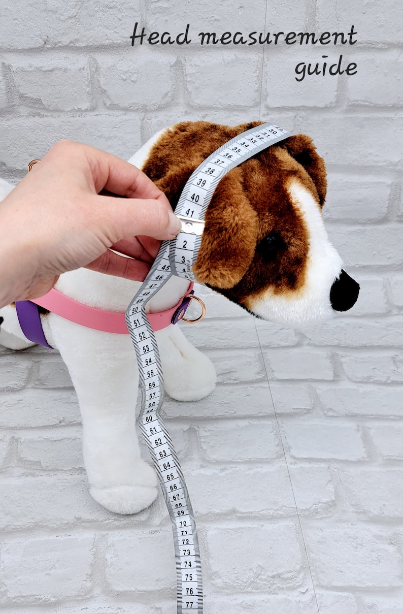 Pu&ograve; includere: Un cane di peluche con pelo marrone e bianco che indossa una pettorina rosa e viola. Un metro a nastro bianco &egrave; avvolto attorno alla testa del cane, mostrando le misure in centimetri. Il testo Head measurement guide &egrave; visibile in alto.