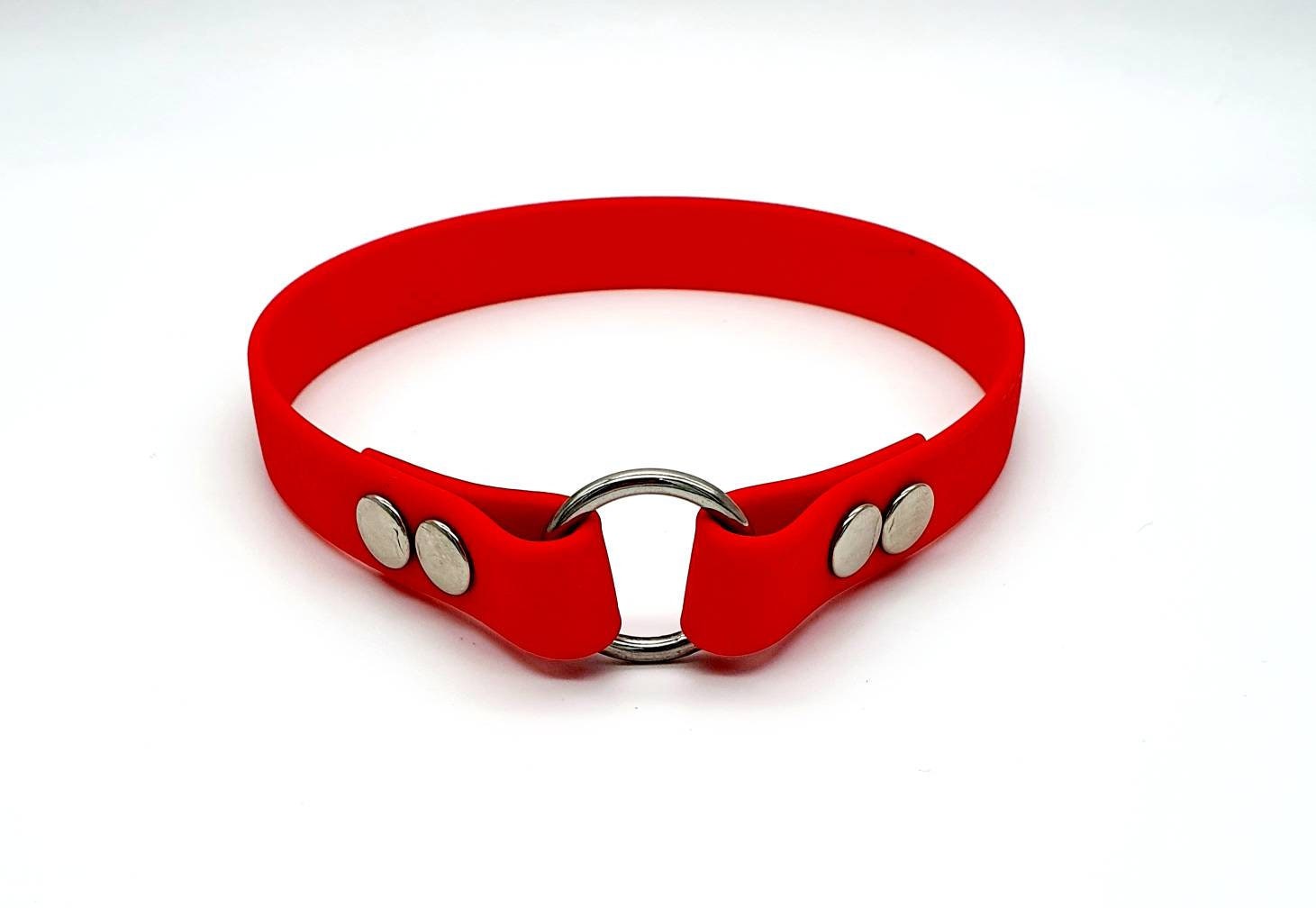 Biothane® Waterproof Dog Tag Collar I Design Your Own Etsy UK