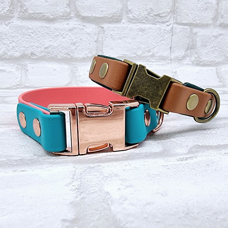 May include: Two pet collars with metal side-release buckles. One collar is teal with a rose gold buckle and rivets. The other collar is tan with a dark green underside, featuring an antique brass buckle, rivets, and a D-ring attachment point.