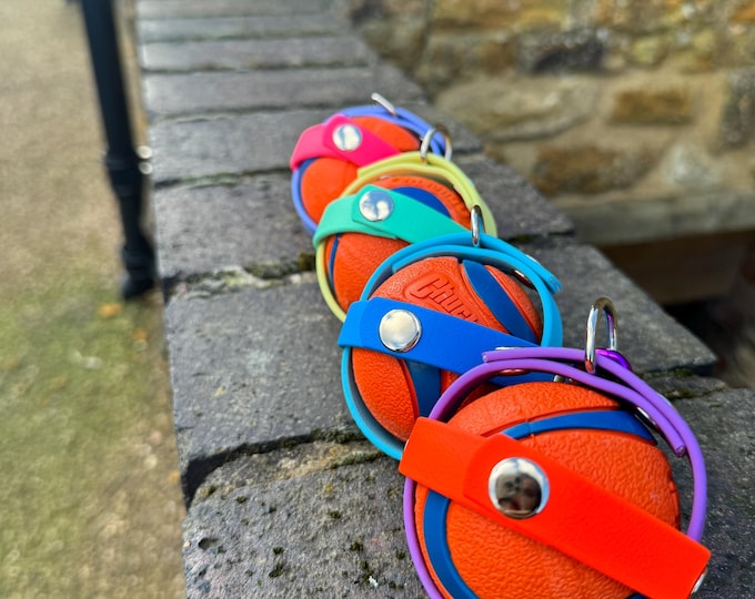 Waterproof BioThane Dog Ball Holder: Chuckit & Tennis Ball Carrier