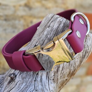 K&ouml;nnte beinhalten: Ein einfarbiges, dunkelmagentafarbenes Halsband mit einer polierten silberfarbenen Metallschnalle und einem passenden silberfarbenen D-Ring. Das Halsband ist mit zwei silberfarbenen Nieten befestigt und hat eine Schlaufe f&uuml;r das Band.