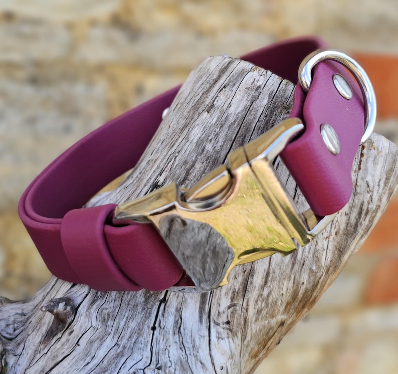 K&ouml;nnte beinhalten: Ein einfarbiges, dunkelmagentafarbenes Halsband mit einer polierten silberfarbenen Metallschnalle und einem passenden silberfarbenen D-Ring. Das Halsband ist mit zwei silberfarbenen Nieten befestigt und hat eine Schlaufe f&uuml;r das Band.